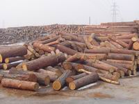 ���ڴ��ŵ�Ԕ����B