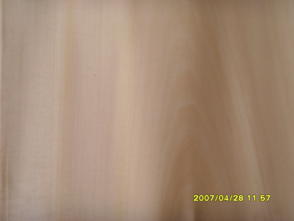 ��ɽ�{�칩�����aľƤ���ľľƤ��Ԕ����B