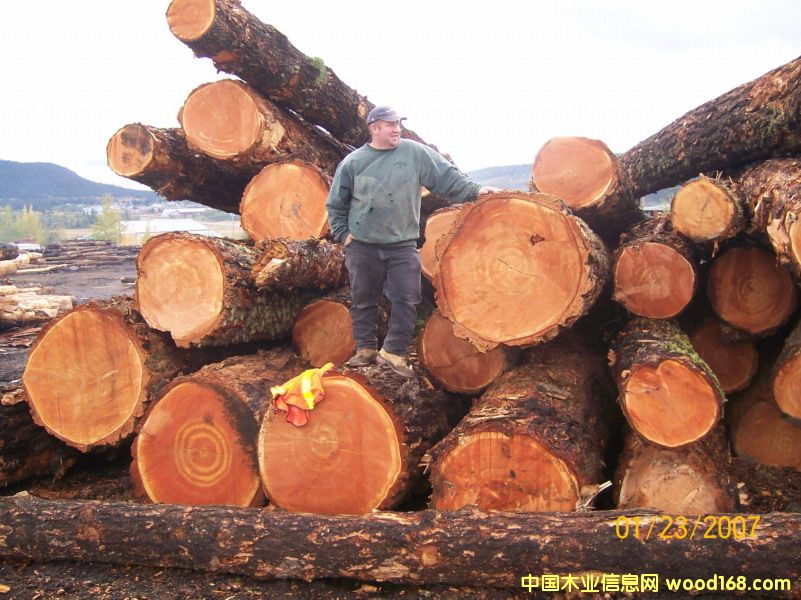 �����ɈDƬ��Ԕ����B