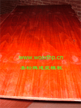 ʥ���ƽ���ģ��,����ľģ��,�����A��,�����z�ϰ��Ԕ����B