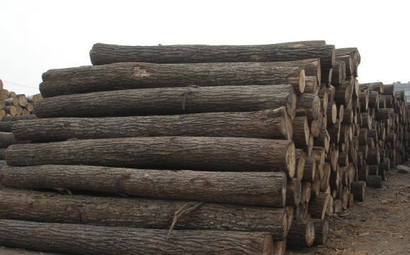 �ľ��Ԕ��(x��)��B