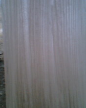 ͩľƴ���Ԕ����B