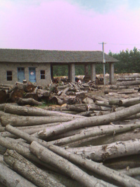 ľƤ��Ԕ����B