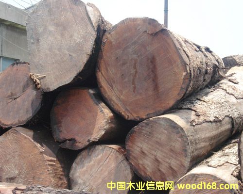 �ں��ҵ�Ԕ����B