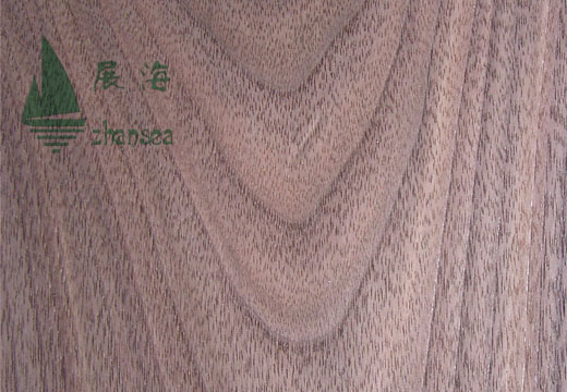 �ں��ҵ�Ԕ����B