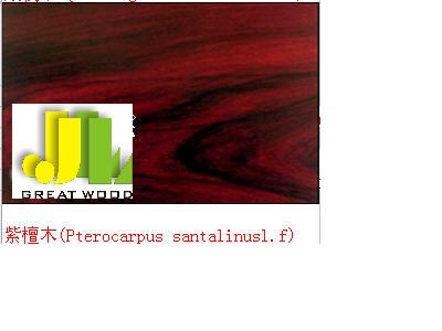 ̴ľ ����̴���t̴����Ԕ����B