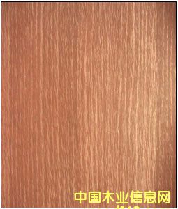 ���y�ε�Ԕ����B