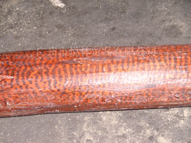 �߼yľ��Ԕ����B