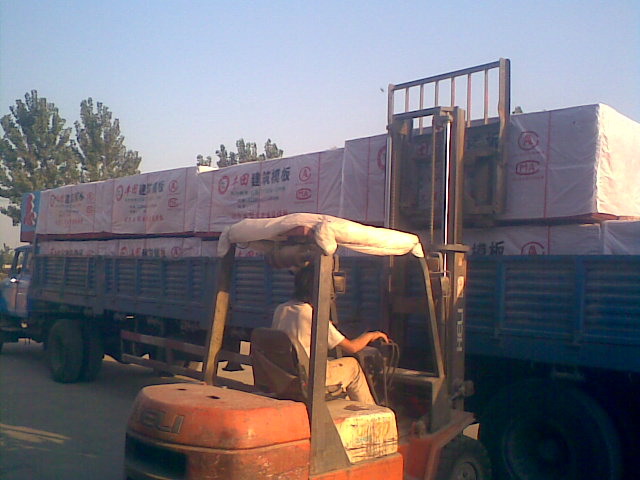 �����Ƶ�Ԕ����B