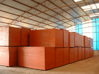 ����ģ���Ԕ����B