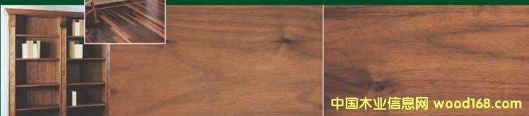 �ں��ҵ�Ԕ����B