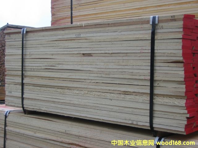 ��Ϟľwhite ash��Ԕ����B