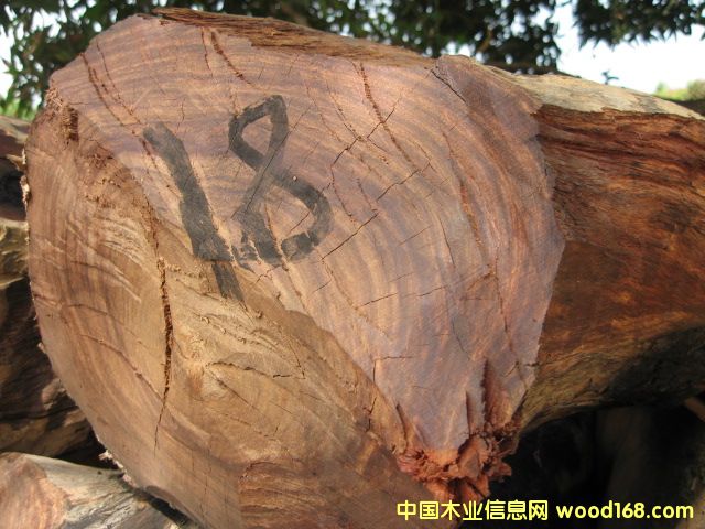 ������ԭľ��Ԕ����B