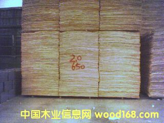 ��ľ�а��Ԕ����B