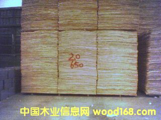 ��ľ�ΰ��Ԕ����B