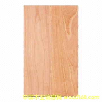 ����(y��ng)��(x��)ľ�����Ԕ��(x��)��B