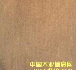 ���s���Ӱ��Ԕ����B