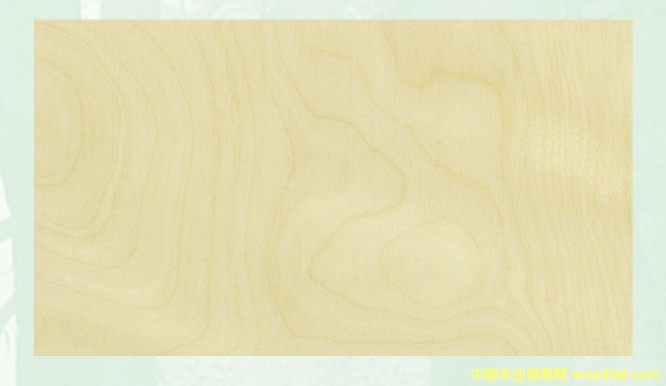 ��ľ�z�ϰ��Ԕ����B