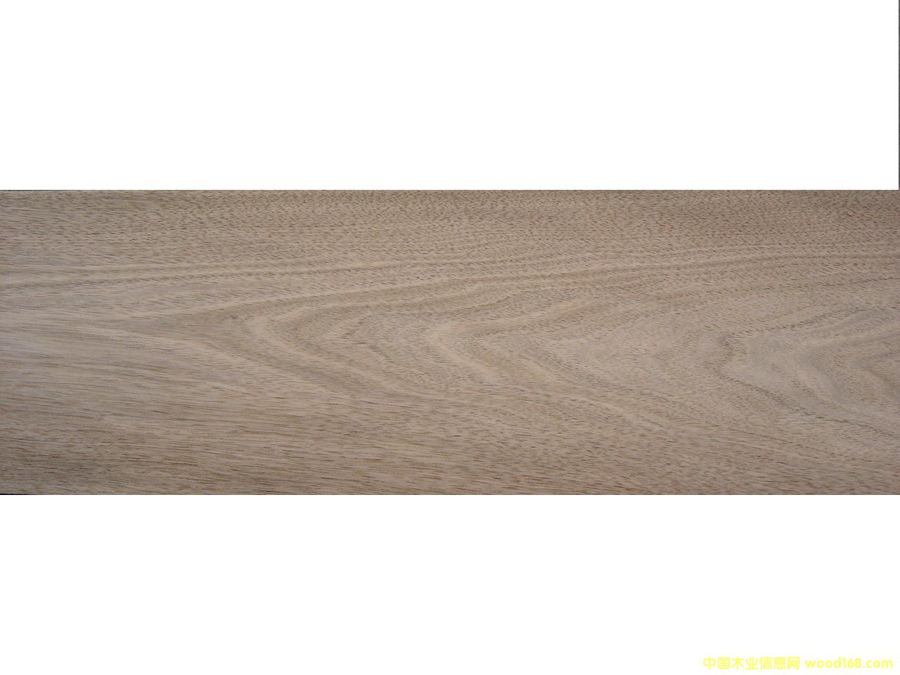 �c(di��n)���鿴Chinese Walnut�Ŵ�DƬ