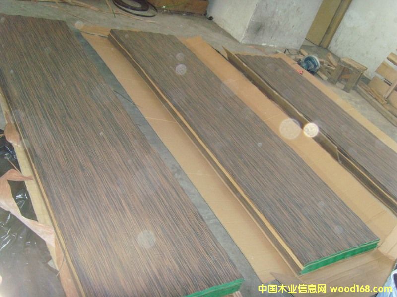 �c(di��n)���鿴Ebony�Ŵ�DƬ