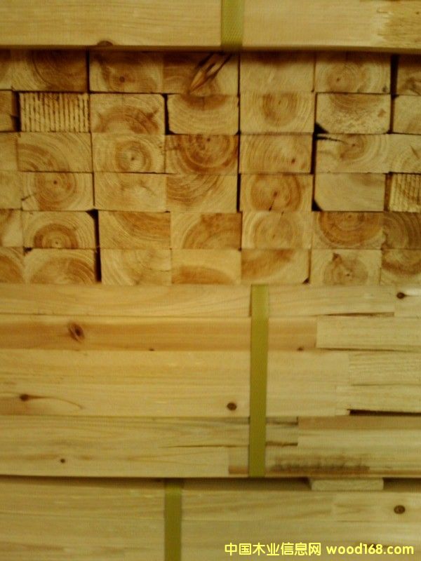 �c���鿴5�Ŵ�DƬ