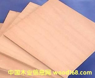 ��ľ�z�ϰ��Ԕ����B