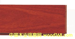 ľ����Ʒ�����ϣ�Ƭ�ĵ�Ԕ����B