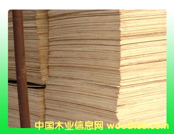 ���Ӱ��Ԕ����B