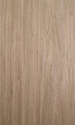 ��õ��611��Ԕ����B