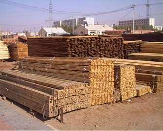 ľ����Ԕ����B