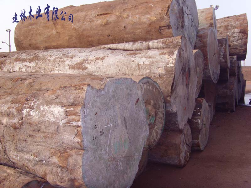 �ͻ���Ԕ����B