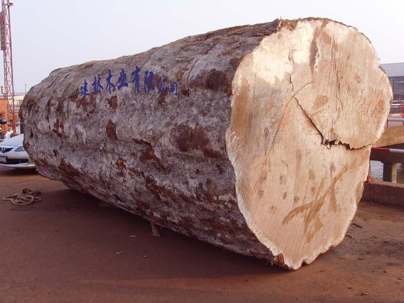 �ͻ���Ԕ����B