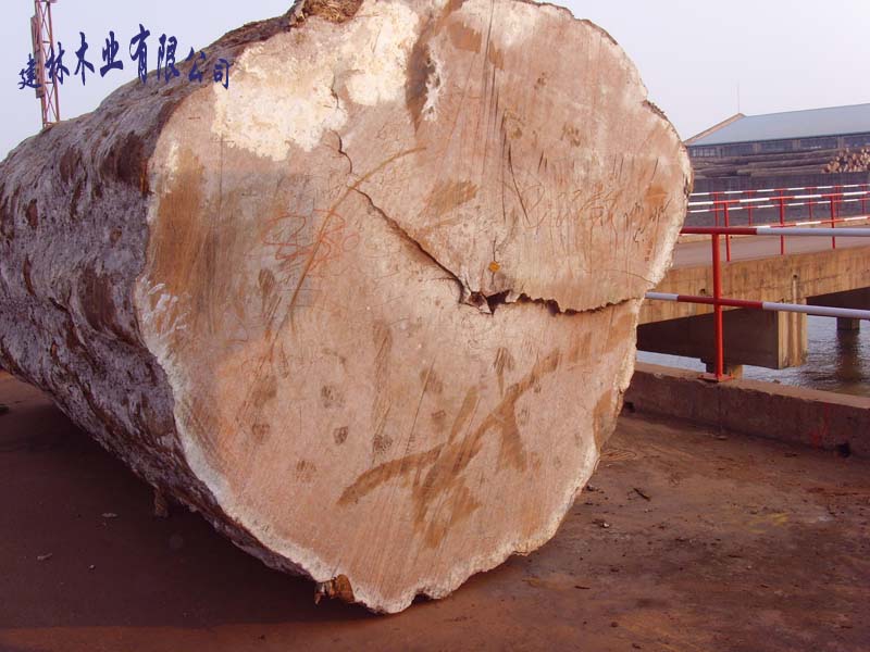 �ͻ���Ԕ����B