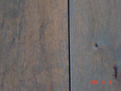 ����WOCA ���aā�ӷ۵�Ԕ����B