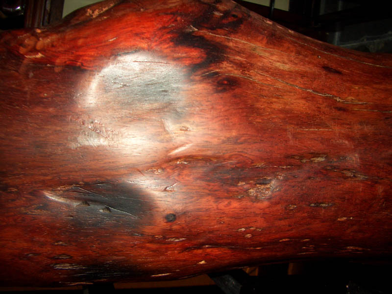 �ϓ�t��֦��Ԕ����B