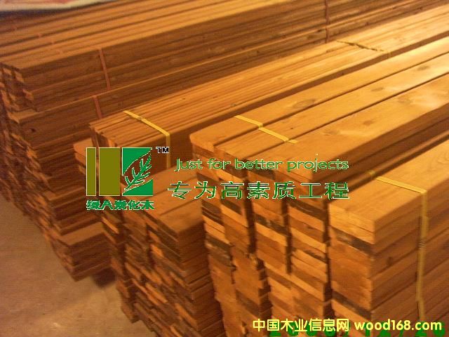 ��h̿��ľ��Ԕ����B