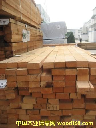 �����ɵ�Ԕ����B