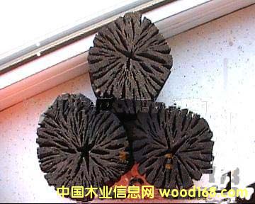 ��ľ̿��Ԕ����B