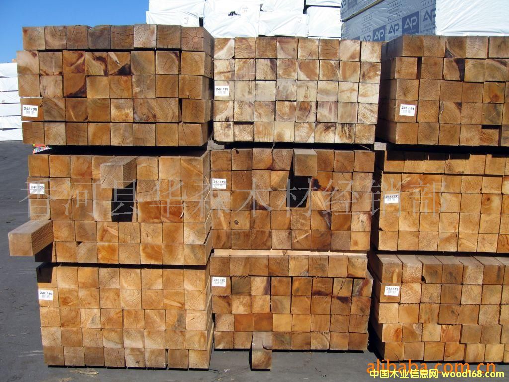 ����ľ�ĵ�Ԕ����B