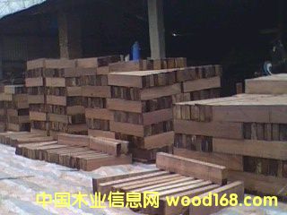 �����ں��ҵذ�ë����Ԕ����B