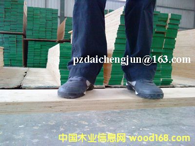 �c���鿴ľ̤��Ŵ�DƬ