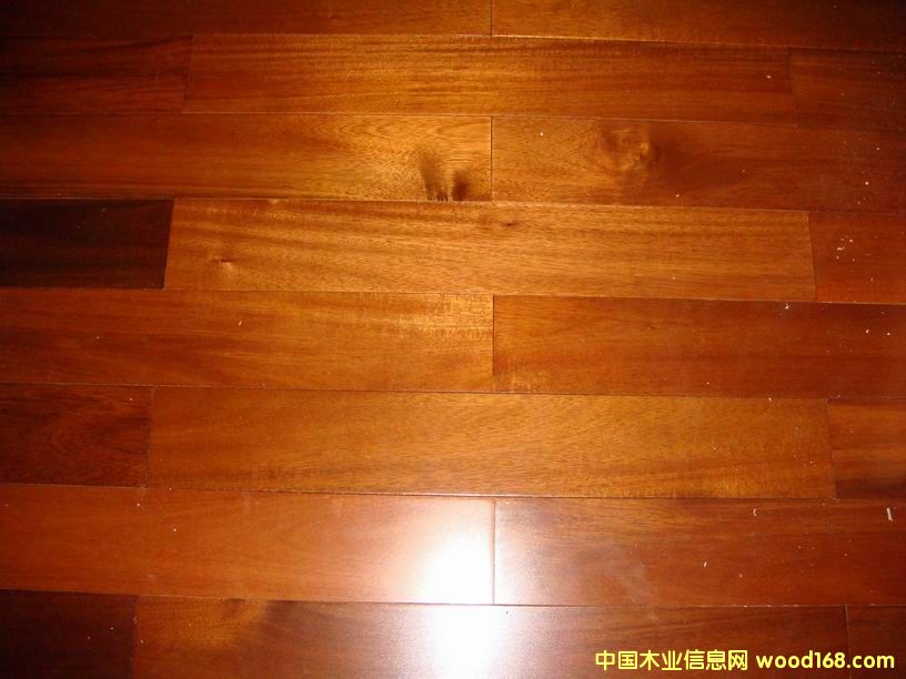 �w�����(ch��ng),���_(t��i)�غ�(sh��)ľ�ذ��Ԕ��(x��)��B