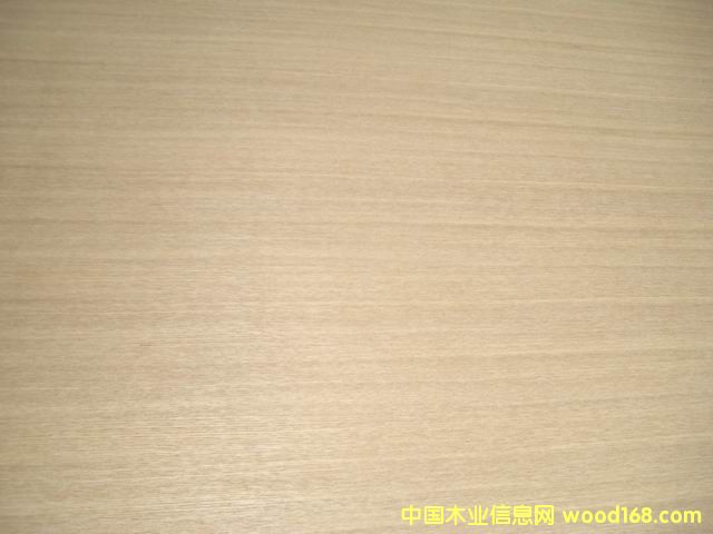 ��ľ�p�N��ľ�������Ԕ����B