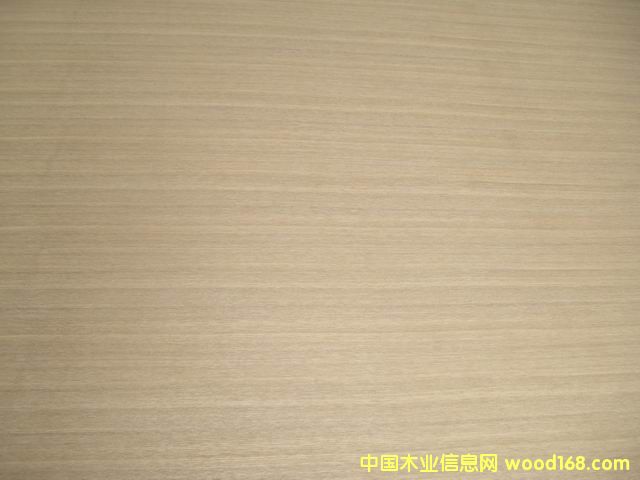 �����p�N��ľ�������Ԕ����B