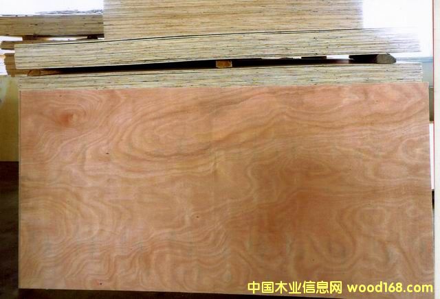 ������Ԕ����B