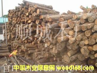 ԭľ�sľ��Ԕ����B