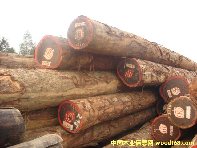 �c���鿴PADOUK�t����Ŵ�DƬ