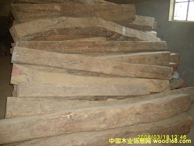 ������֦5��Ԕ��(x��)��B