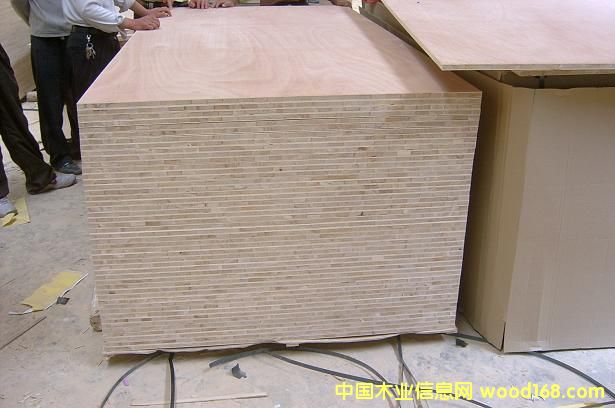 ��ľ�����Ԕ����B