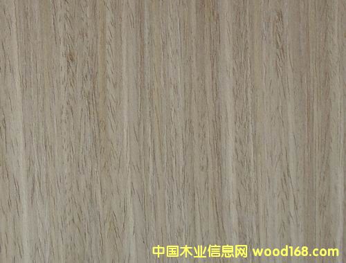 ��ľ605S��Ԕ����B